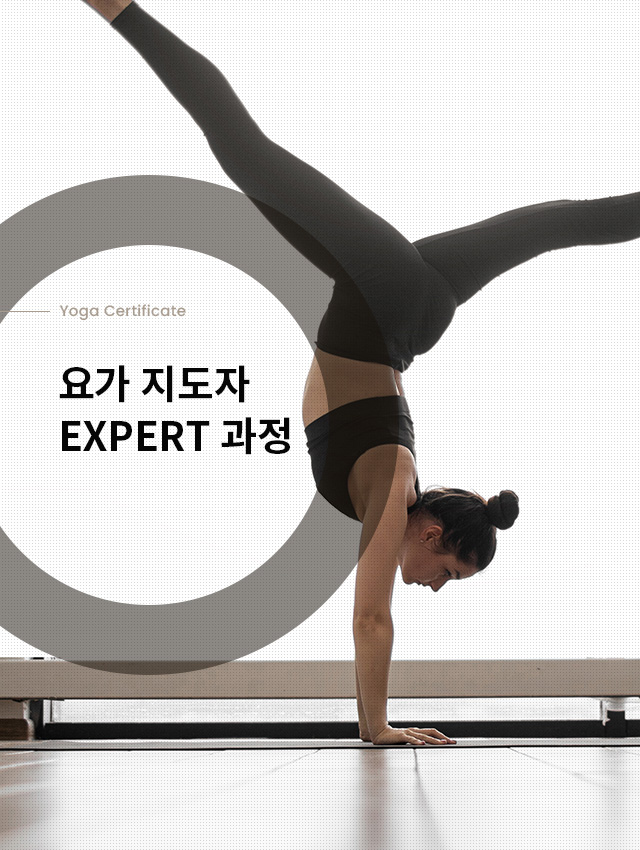 요가 지도자 EXPERT